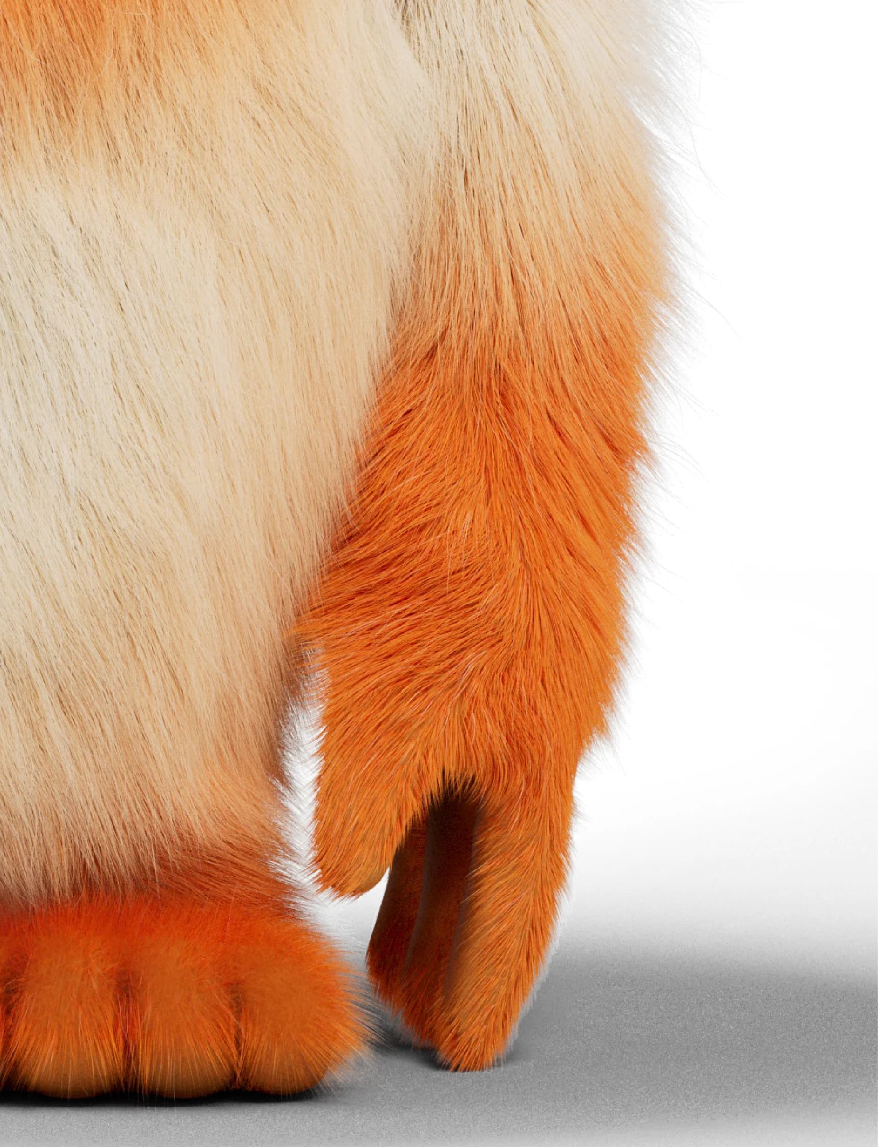 Zoom sur le bras de la mascotte
