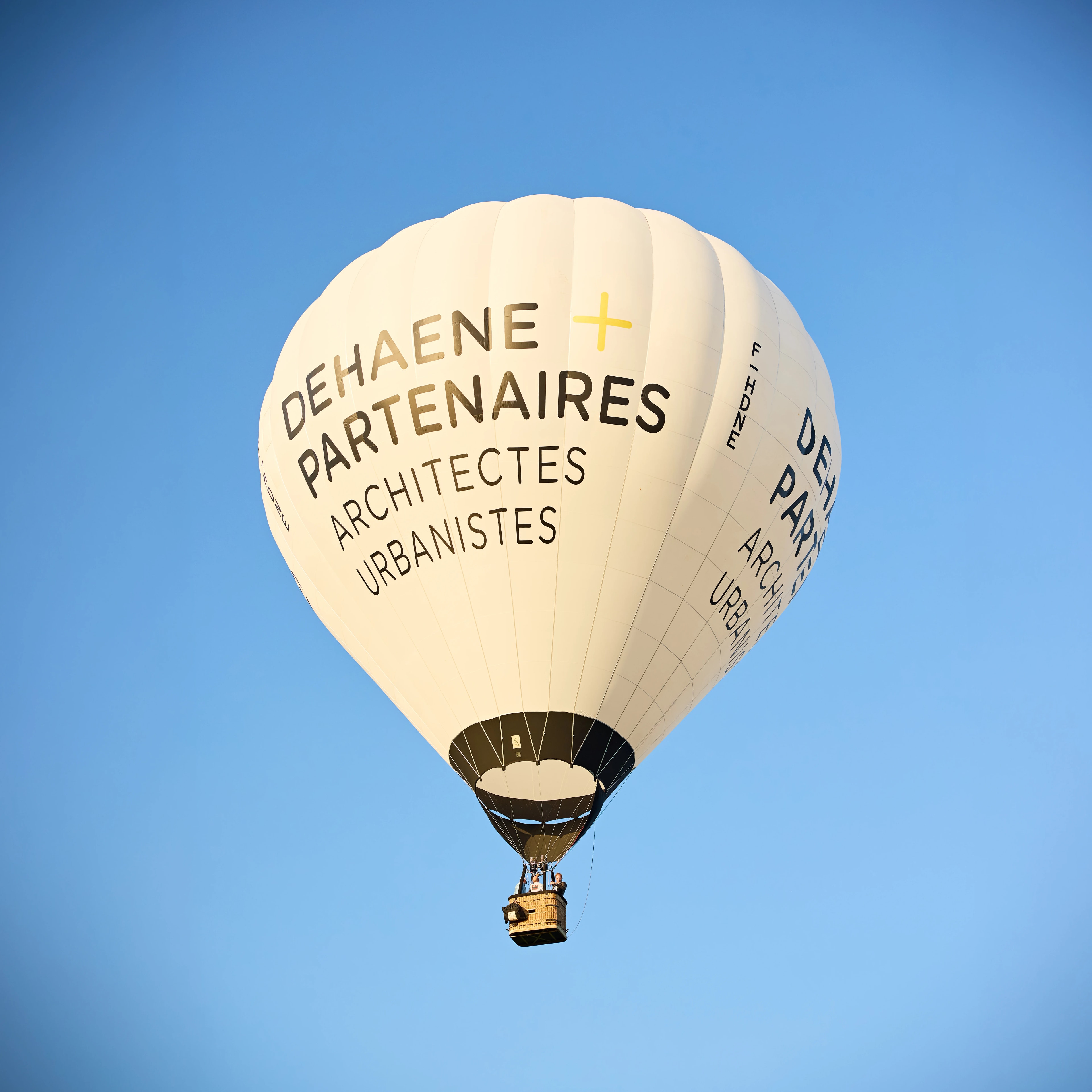 LEMON PEPPER_DEHAENE PARTENAIRES